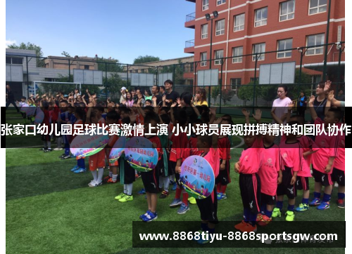 张家口幼儿园足球比赛激情上演 小小球员展现拼搏精神和团队协作